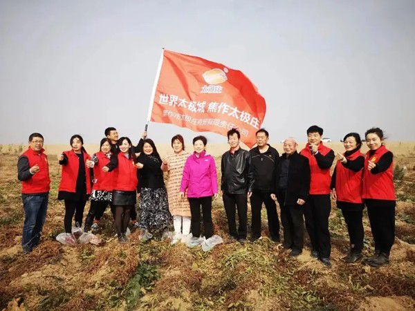 11月12日，眾人翹首以盼的太極莊山藥采挖活動在太極莊公司的溫縣·富硒鐵棍山藥標(biāo)準(zhǔn)化種植基地拉開帷幕