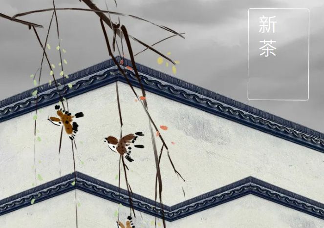 太極莊新菊上市！白菊婉清顏，芳香滿庭院